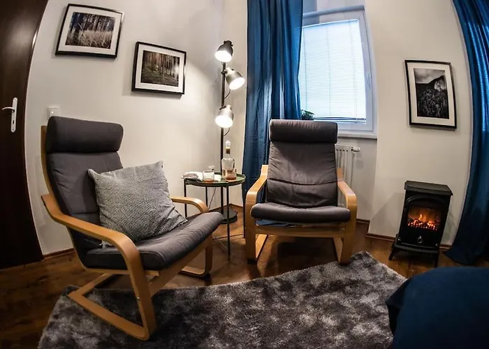 Gentlemen\'S Apartment Near Brno-Center